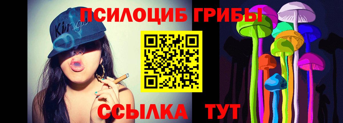 Псилоцибиновые грибы Cubensis Кириши